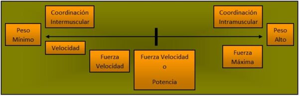 Teoría Entrenamiento y Preparación Física. Tema 8. La Fuerza como ...