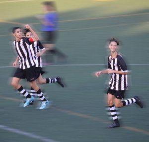 Libro o Ebook. Métodos de Entrenamiento aplicados al Fútbol. Metodología del Fútbol. Toni Matas Barceló
