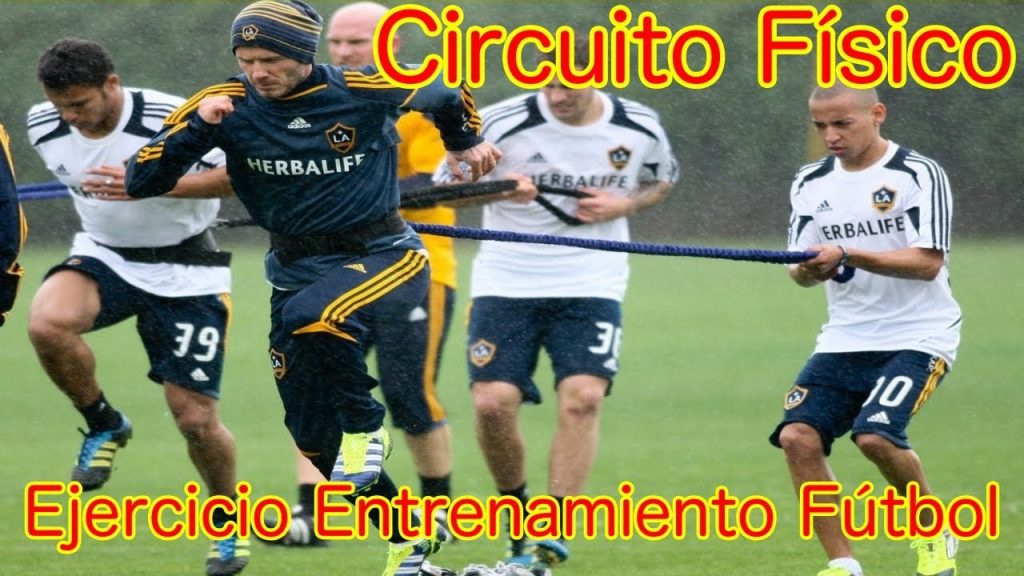 Circuito Físico. Ejercicio de Entrenamiento para la Preparación Física en  el Fútbol