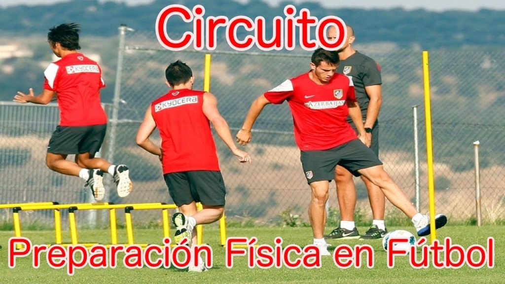 Técnico en preparación física deportiva